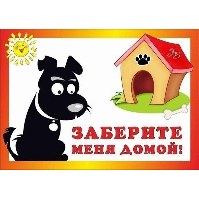 Заберите собаку домой. Демотиваторы с животными. Заберите собаку домой. Щенки из приюта. Демотиваторы смешные про животных.