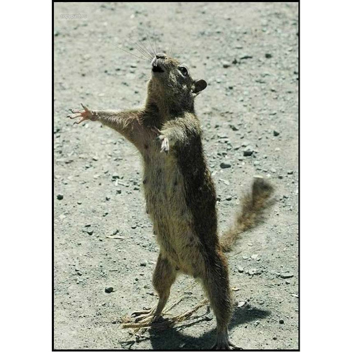 Картинка ну и вот и все