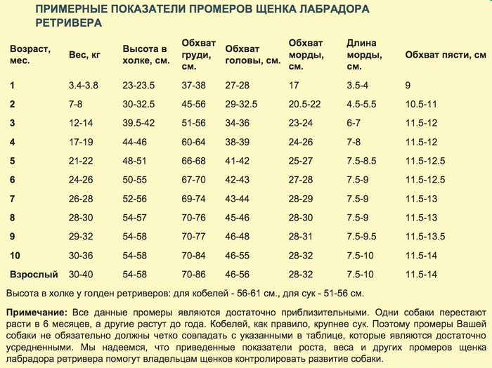 Таблица рост вес собака