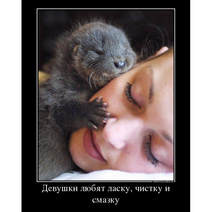 Любит ласку фото