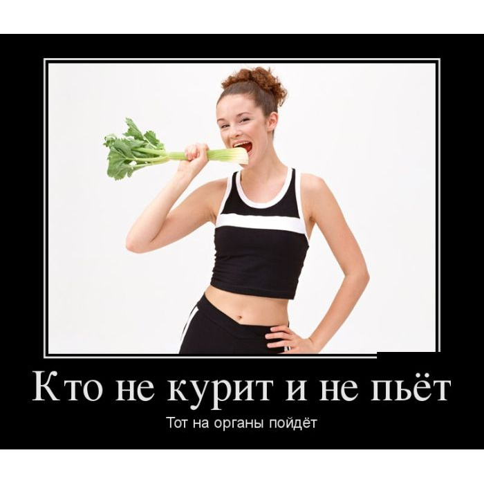 Не пить не курить картинки