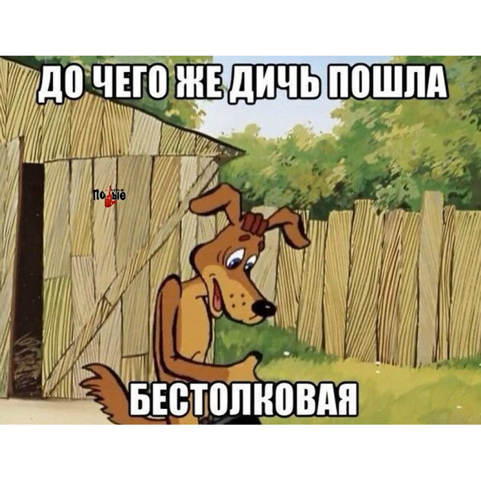 То есть пойдешь. Бестолковый картинки. До чего же дичь пошла бестолковая. Дичь приколы. Я бестолковый.
