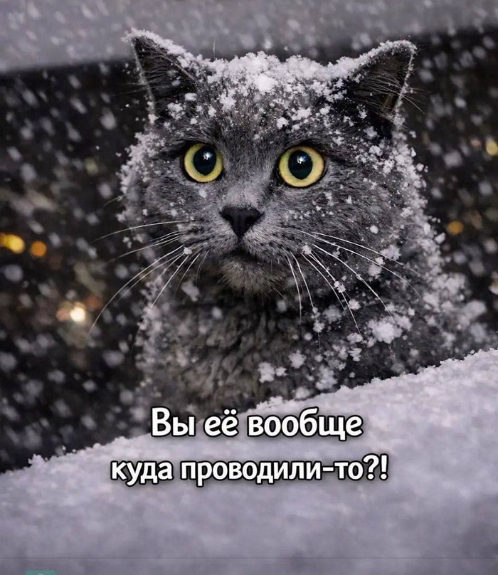 7309a28bb76947791bd1872d9a79b2c506c5df6d_700.jpg