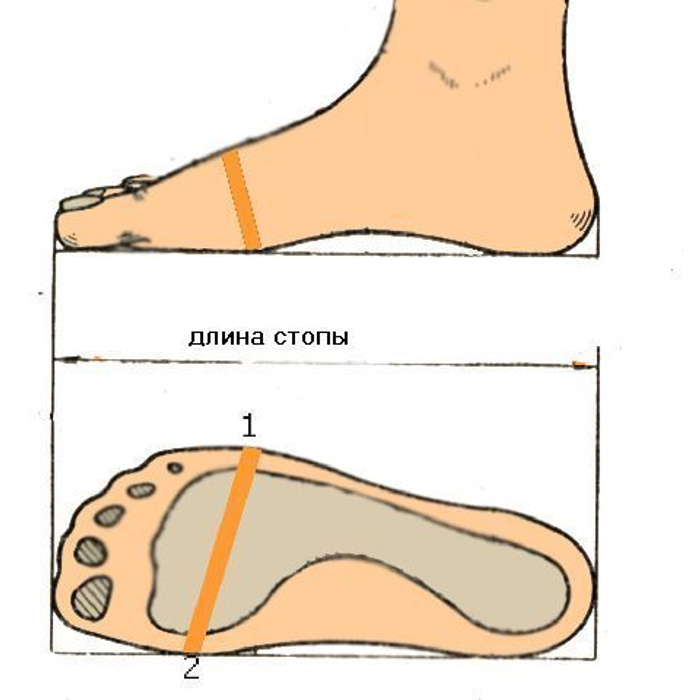 Полнота ноги у ребенка. Как измерить полноту ноги туфли. Измерение стопы для обуви. Замер ноги для обуви. Измерение размера стопы.