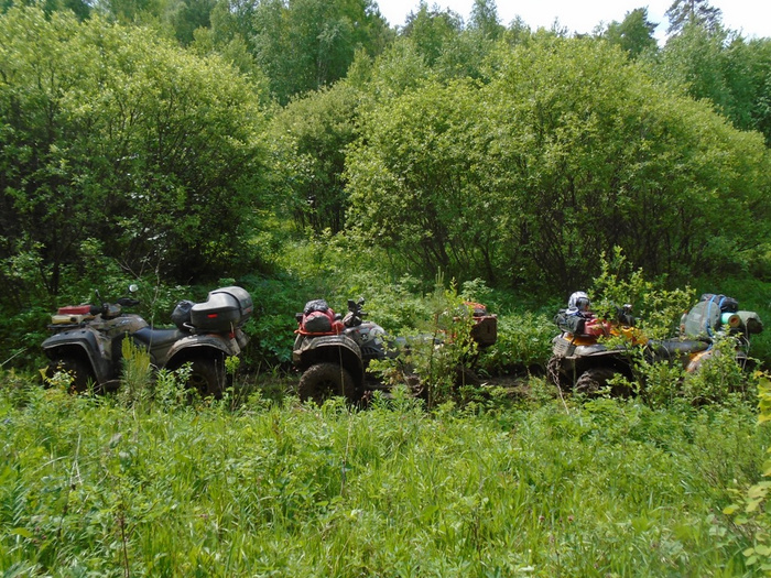 DSC01818.JPG