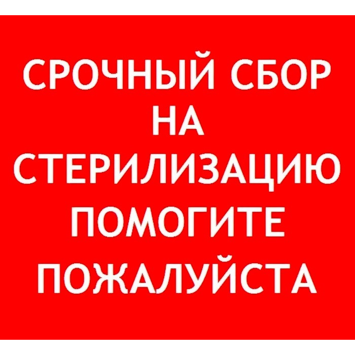 Картинка нужна помощь в стерилизации