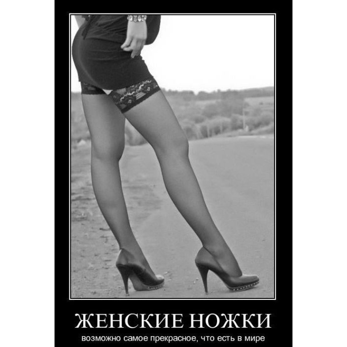 А у тебя ноги то есть. Цитаты про женские ножки. Женские ноги прикол. Высказывания о женских ножках. Женские ноги демотиватор.
