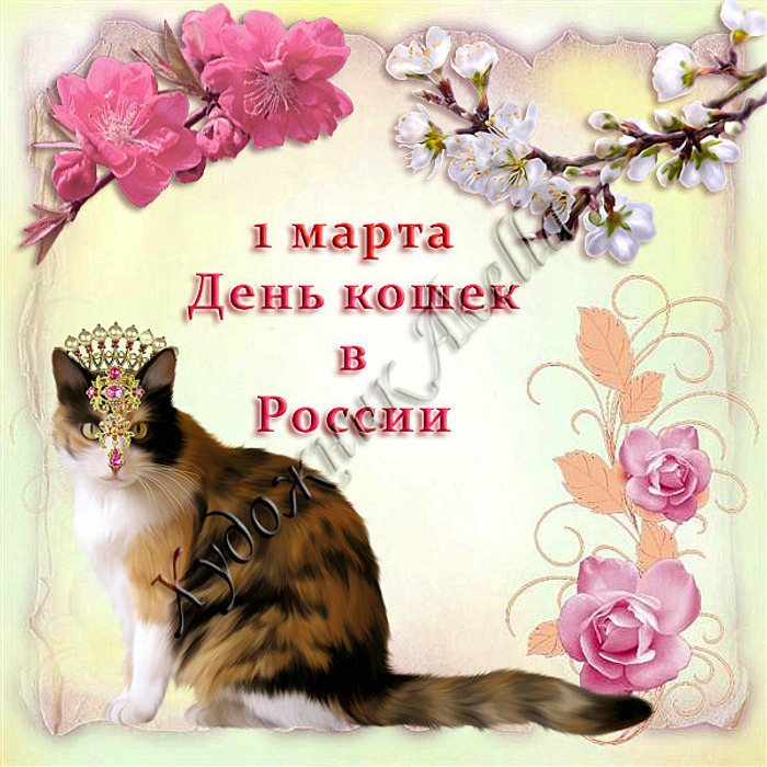 День котиков в россии. Поздравление с днем кошек. День кошек открытки.