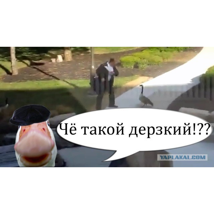 Пришли и обсуди. Давайте обсудим почему вы сегодня не пришли. Магистр прикол. Настало время платить по счетам. Пришли и обсуди.