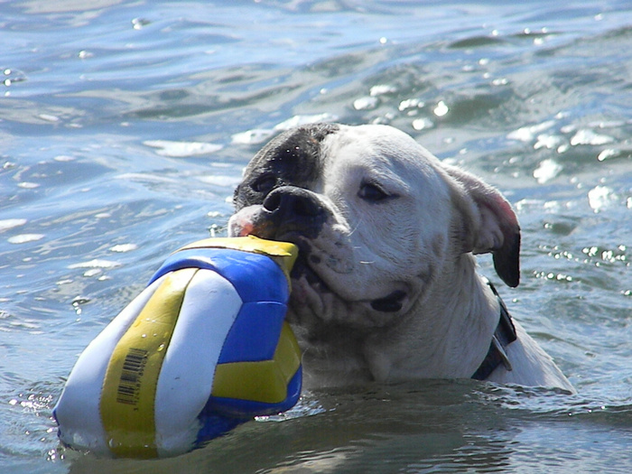 DSCN3508.JPG