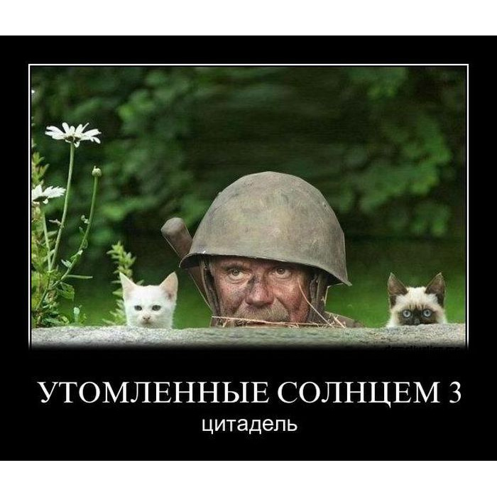 Засада картинки прикольные
