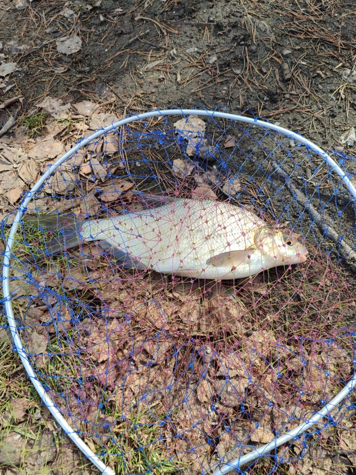 1713630594108.jpg