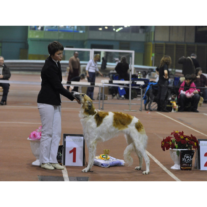 Фаворит дня. Конный спорт фаворит в подмосковье. День открытых дверей мау. Кск фаворит воскресенка. Спорт экспресс.