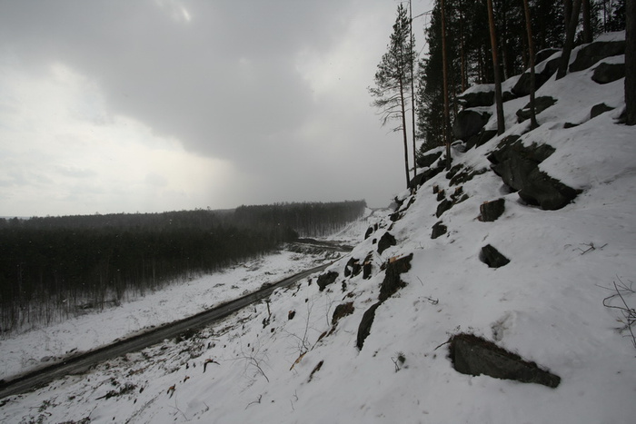 _MG_0743.JPG