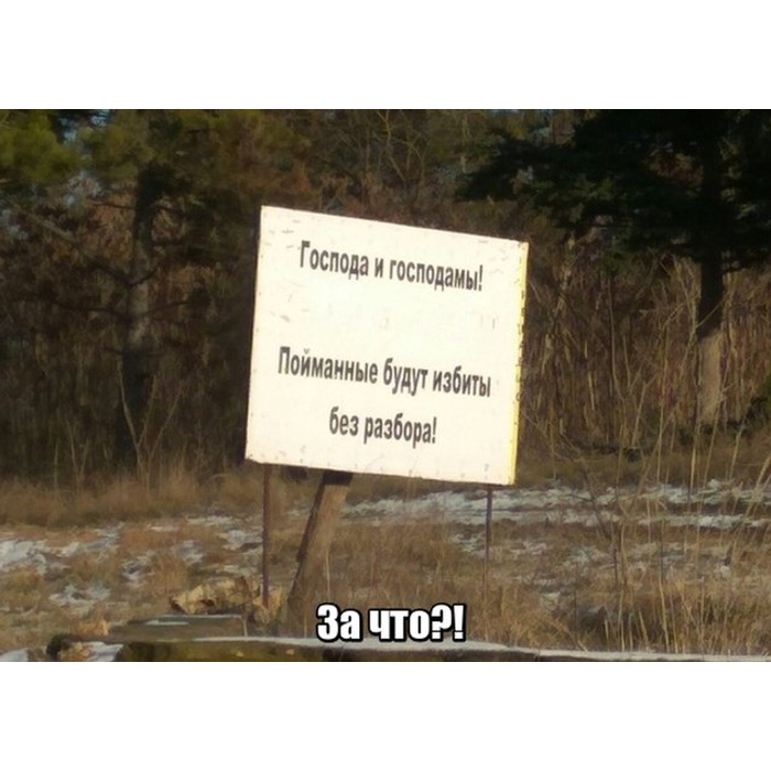 Даю всем без разбору. Без разбору.