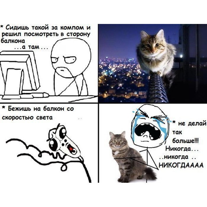 Создать мем с котами. Коты мемы. смешные коты мемы. мемы про котиков. коты мемы с надписями.