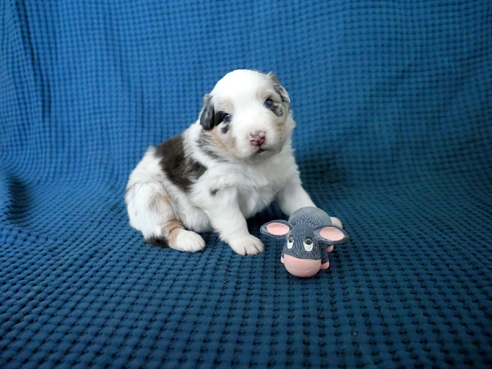 P4104869_.JPG