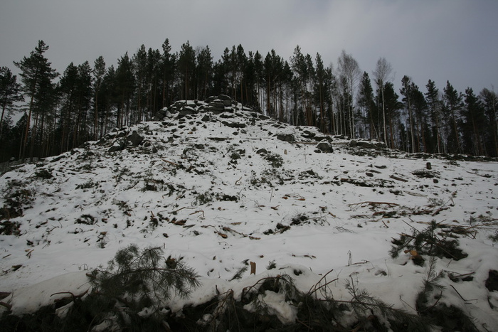 _MG_0739.JPG