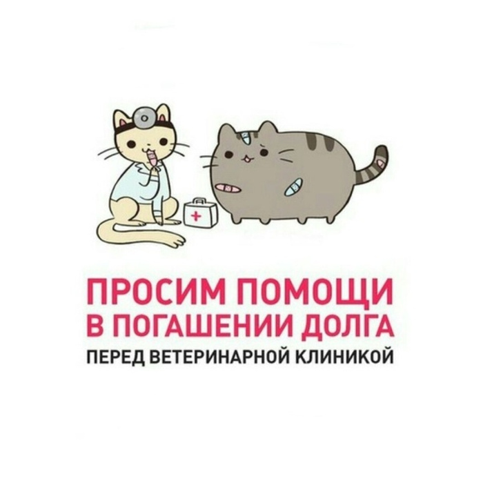 Котику нужна помощь картинки