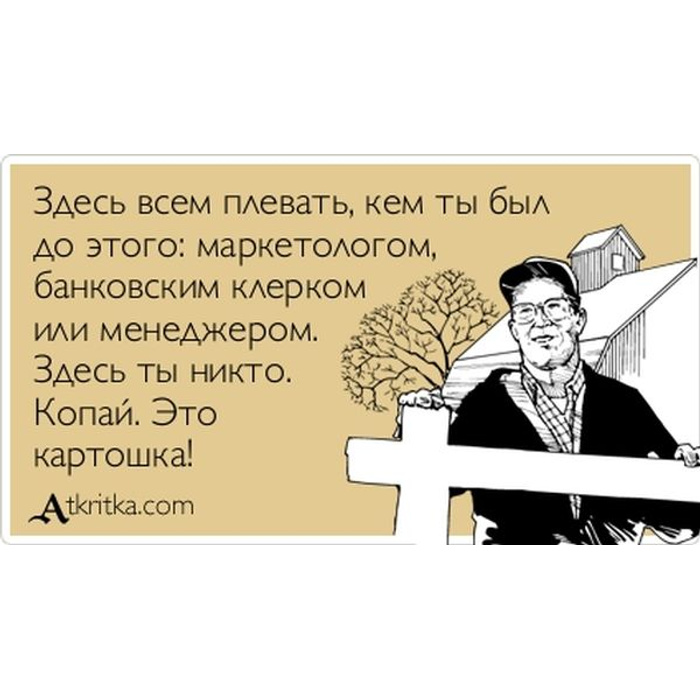 Меньше правильно. Свято место пусто не бывает. Светая место пусто не бывает. Место пустым не бывает.