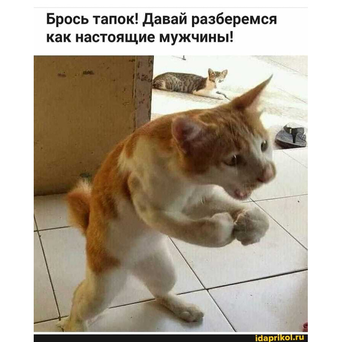 9d0501875f158182f89b5e6c4542ec3b0aafa5f4_700_700.jpg
