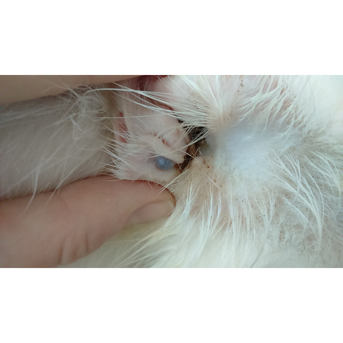 Очистка ушной канал