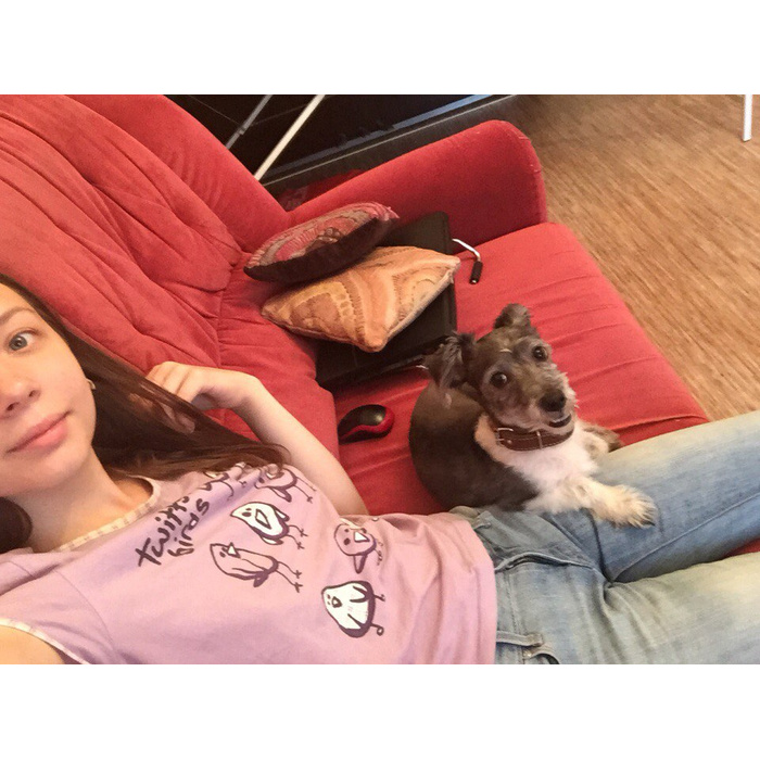 Приют домик мелкашей для маленьких собак москва