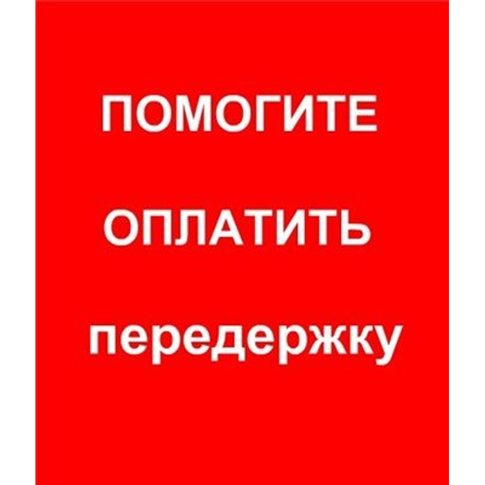 Помощь в оплате игр. Нужна помощь в оплате передержки. срочно нужна помощь в оплате передержки.