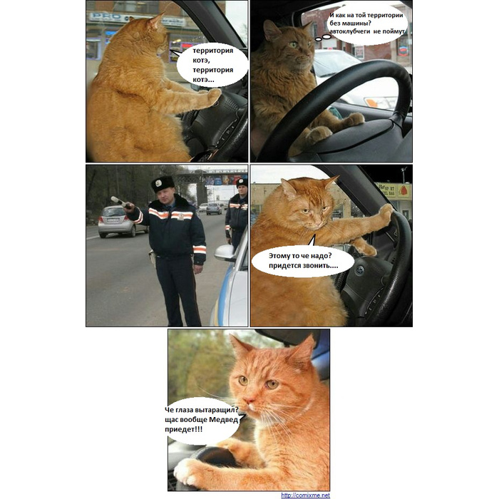 Я не знаю куда ты смотришь. Куда мы идем. Я не знаю куда ты смотришь. Куда ты идешь. Пойди туда не знаю куда принеси то не знаю что сказка.