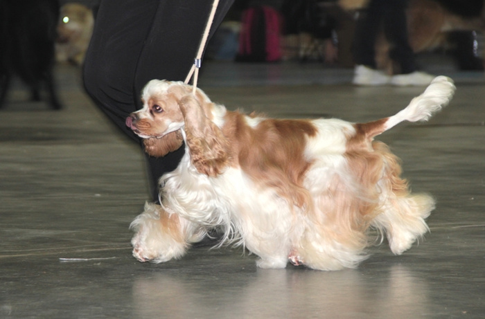 DPP_04.03.20120102.JPG