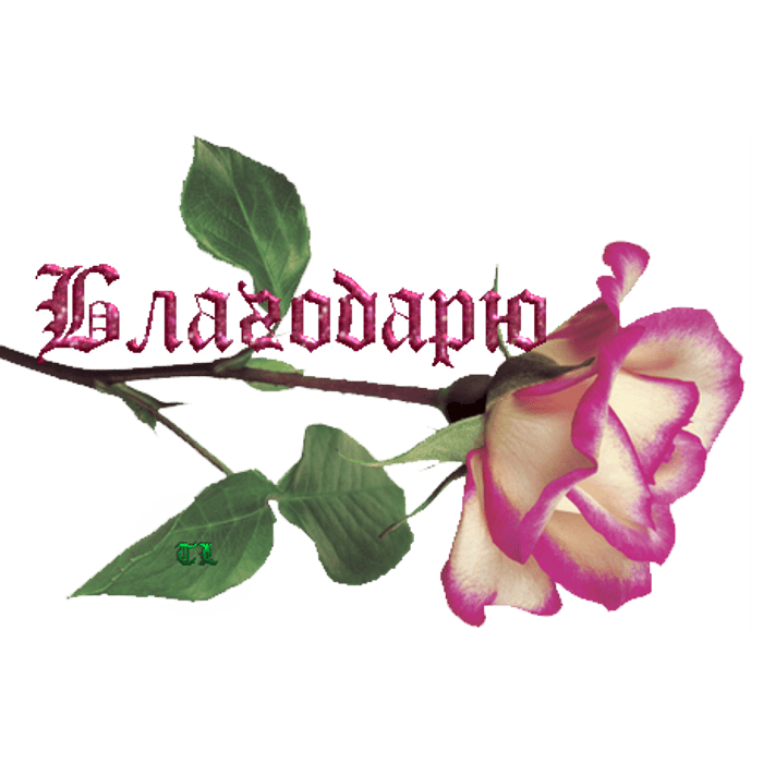Picture background