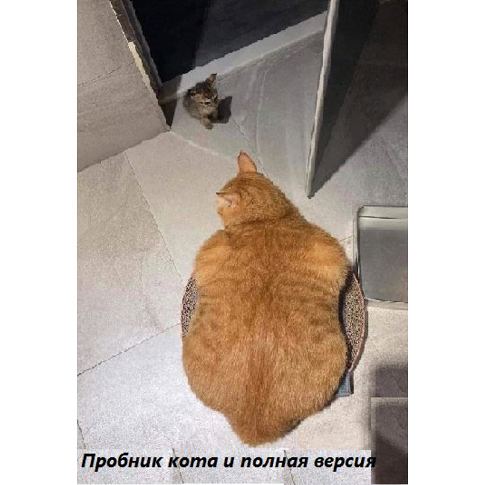 a8532ea74c54f0dea01532ec49816fb70652ffdc_700_700.jpg