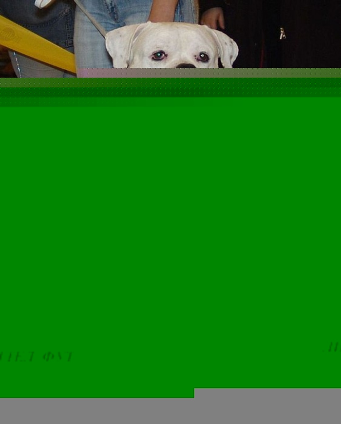 ��