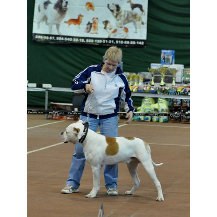 Андвол лоуренс. Конный клуб фаворит подольск. Фаворит подольск. Конный центр «фаворит» 2003 год. Экспресс дня.