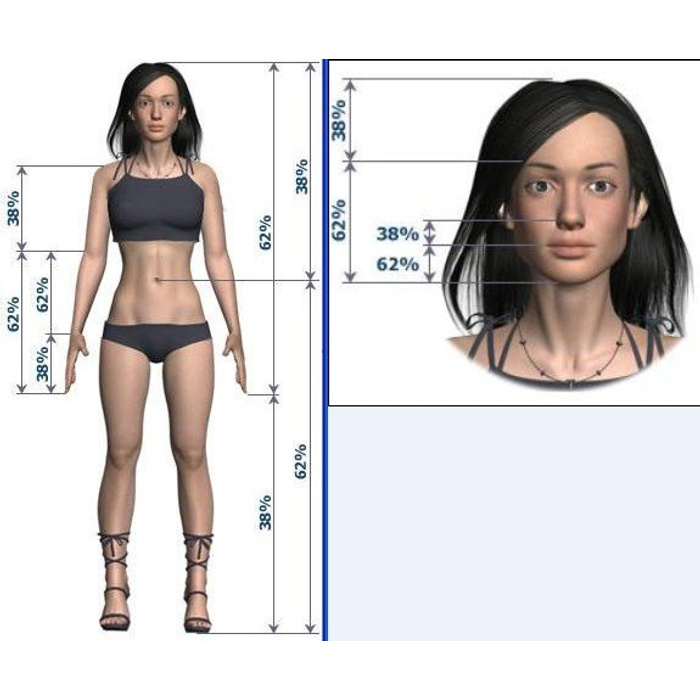 Зависит от размера модели. Идеальные пропорции тела. Идеальная женская фигура пропорции. Идеальные женские пропорции. Идеальные пропорции тела девушки.