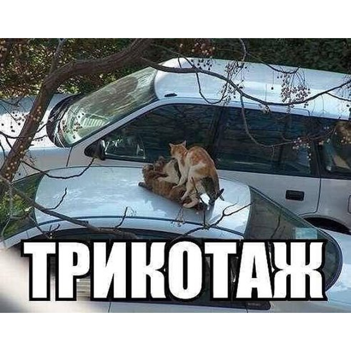 Приколы Озон