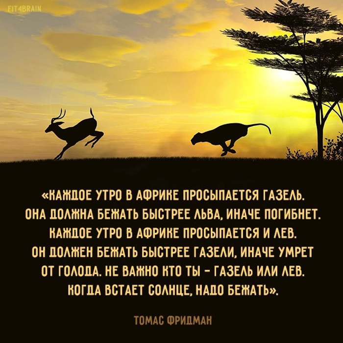 Каждое утро в африке просыпается газель она должна бежать быстрее льва