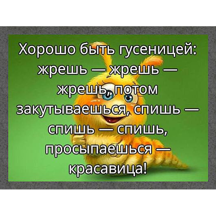 Картинка жрать спать