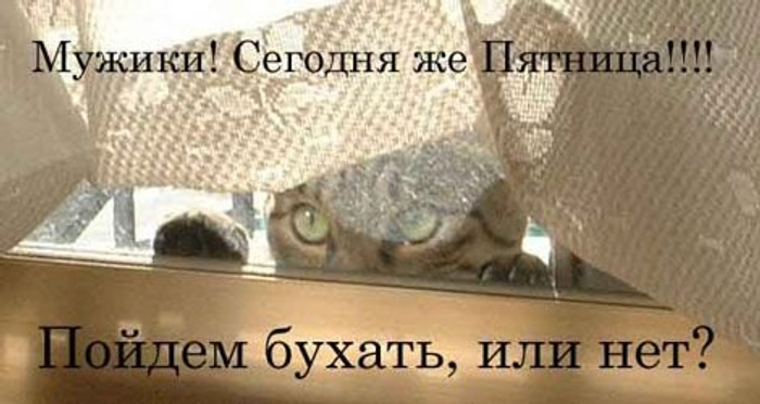 Я паркуюсь как дебил. Стеб. Красиво гнить не запретишь. Не сильно помешал. Наклейка я паркуюсь как.