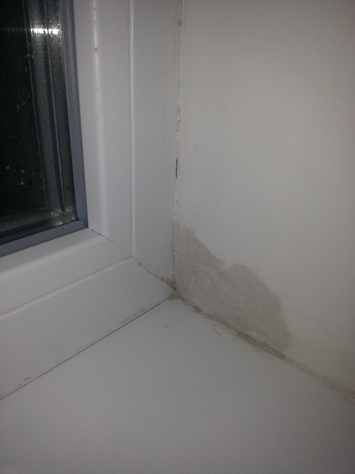 20140106_013446.jpg
