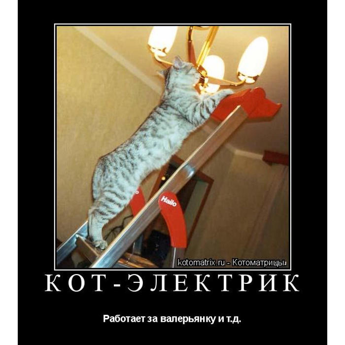 Electric cat. Кот электрик. Кот электромонтер. Кот электромонтажник. Котики электрики.