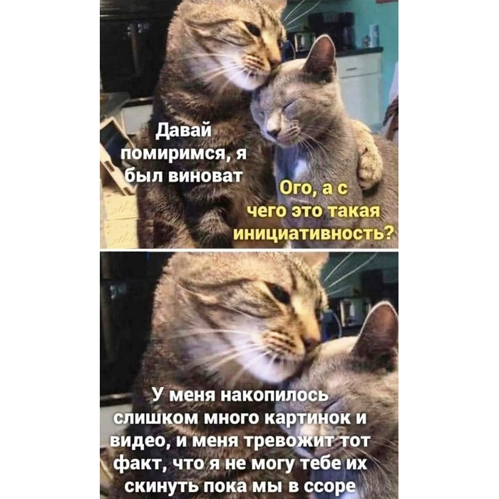 Оба виноваты особенно ты. Как поменится с подругой. Давай мириться. Ссора и примирение. Помирились через месяц.