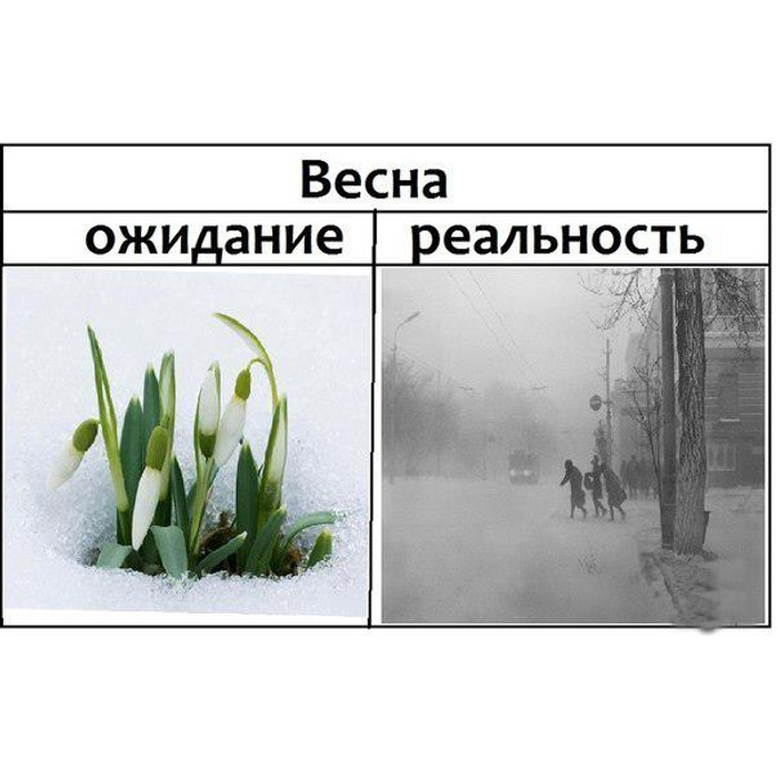 Вот такая вот весна картинки