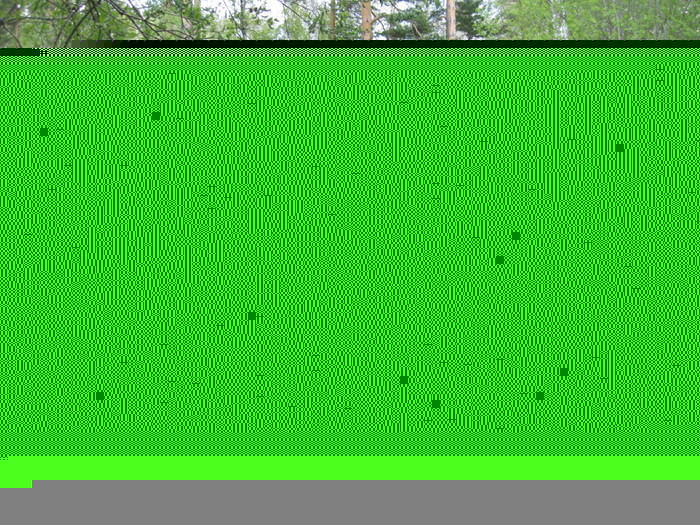 ��� ��������