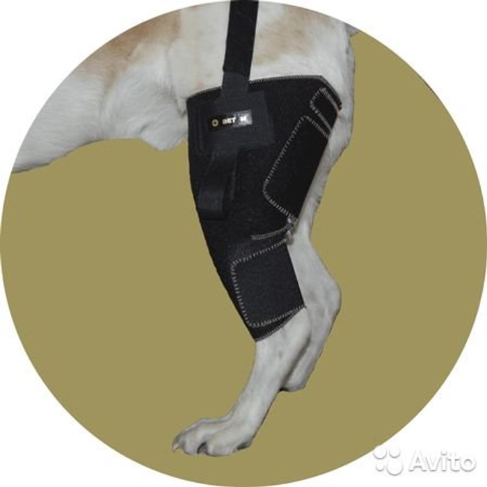 После операции на лапу собаку. Протектор Kruuse Rehab Hock Protector XS. Протектор запястного сустава для собак. Ортез на скакательный сустав. Ортез на скакательный сустав для собак.