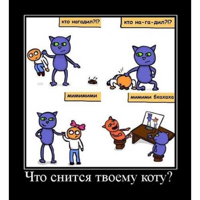 Сонник коты