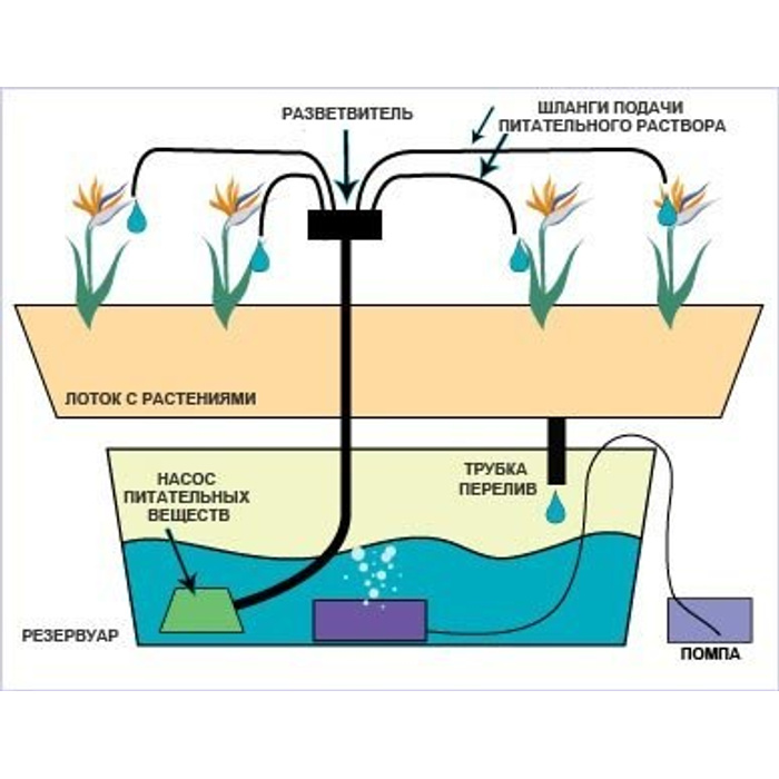 Схема установки гидропонной установки