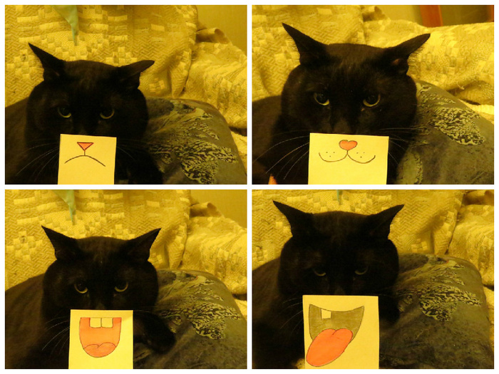 FotorCreated.jpg
