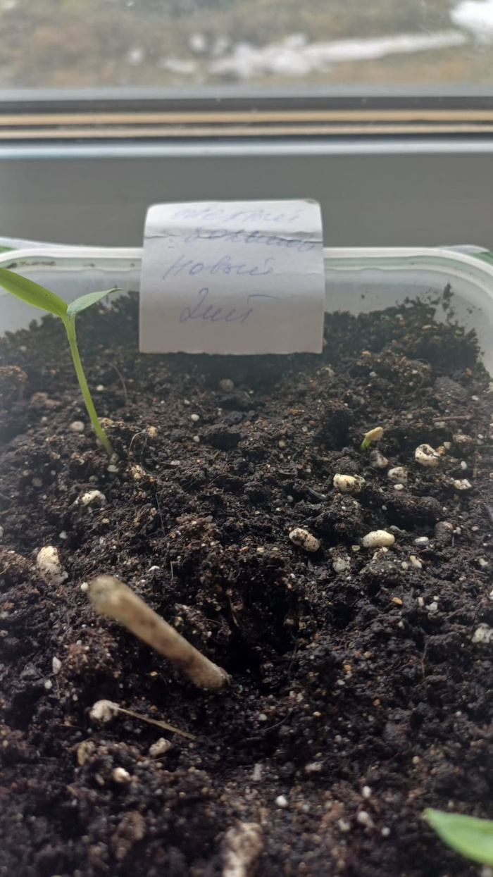 16.03 ������� �� ������� - ������ �����������..jpeg