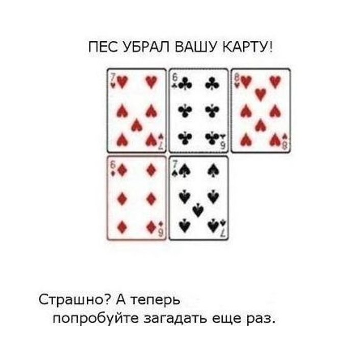 Фокус с картами где 11 карта нужная